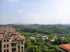 东莞植物园旁,鼎峰源著毛坯五房,视野开阔,位置安静