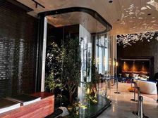 九龍塘傳統名校區 高尚住宅 低密度豪宅區