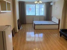 北花园1号院 52平 豪华装修 明年过户179w 拎包入住