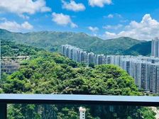 有公司鐵約高質租客群,穩租金,高回報太古城區