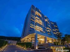 減稅+ 先免後征 高才优才专才 半山区府邸波老道21号