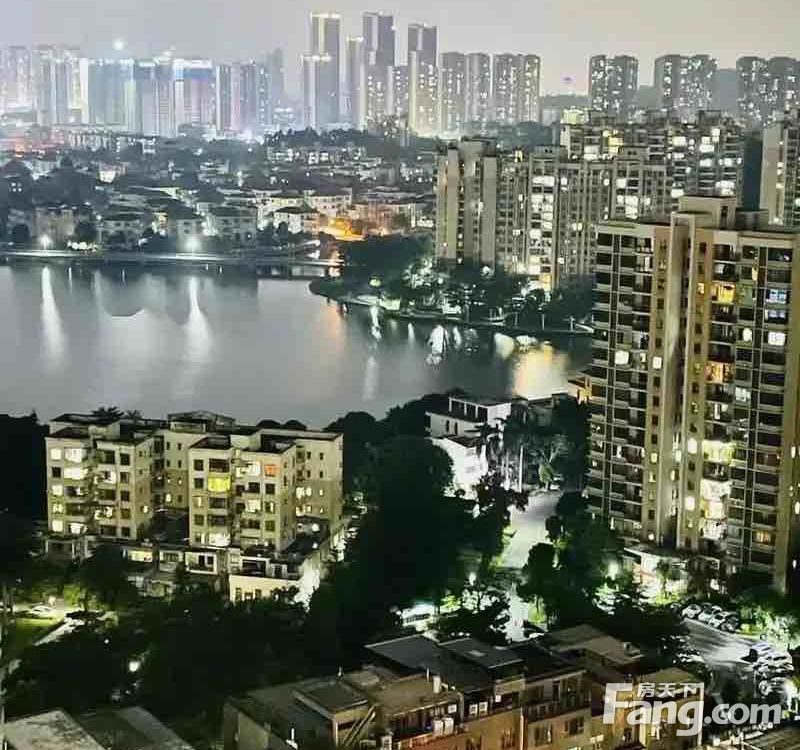 实景图