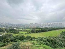 大网红别墅 花园300平上下7层全明实得千平 远洋独栋腰斩价