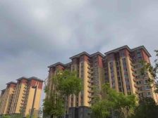 丰台南苑村 三居室350万 111平米三居室 南苑村安置