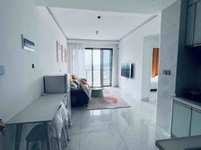 新达城带装两房公寓 带租出售 送全屋家电