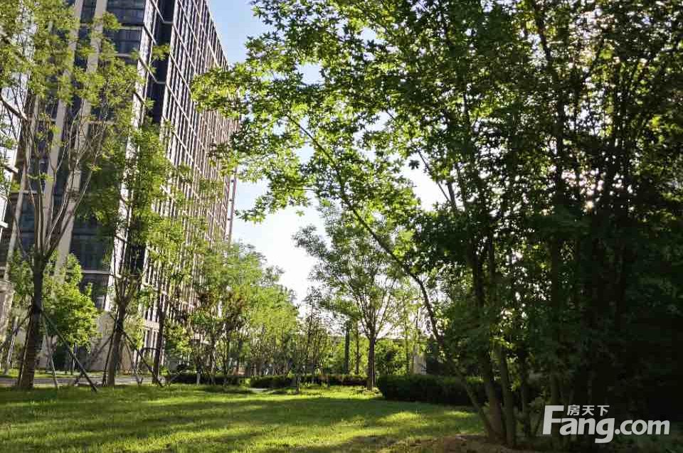 富锦嘉园小区租房,一室一厅,精品公寓直租,无中介,距离丰台科技园地铁