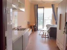 碧桂园南昆大观 12万买拎包入住单间 无敌景观