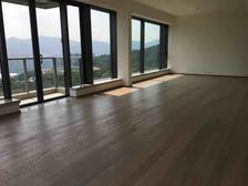 减价四成 九肚山质素 平民呎价