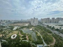 急急急。工抵底房,没的税费,亏50万,