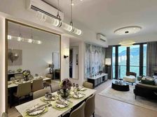 沙田 新鸿基豪宅 四房大割价 还送车位