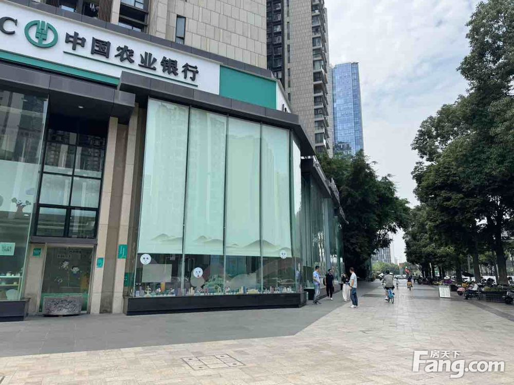 内景图