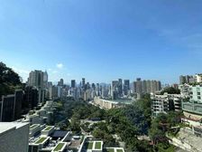 东半山司徒拔道分层王炸 天台特式户 名人为邻