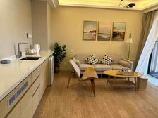 盛世泉说 总价23万买温泉水入户 送家私家电 70年产权