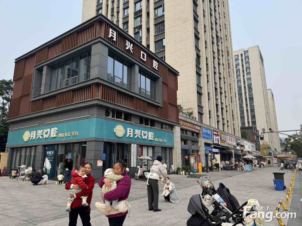 内景图