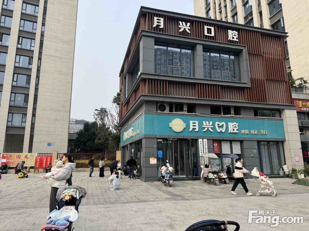 外景图