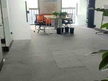 青秀万达165平租6500元