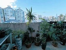 黄浦区江景房附送露台25平方米满五年师专附小和大境中学