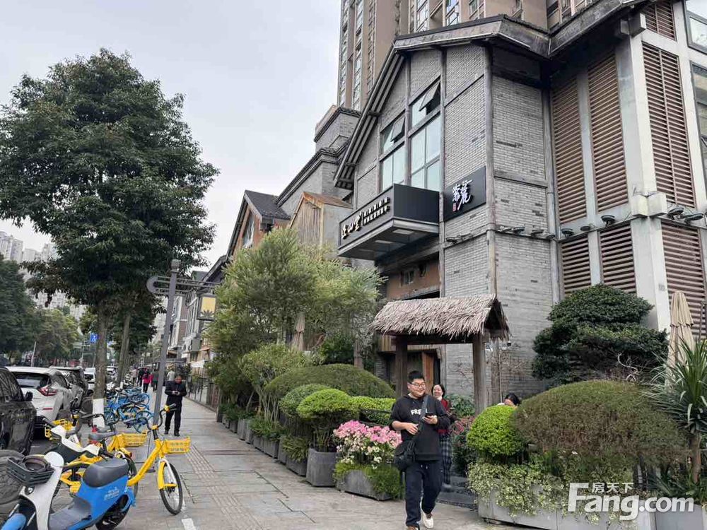 内景图