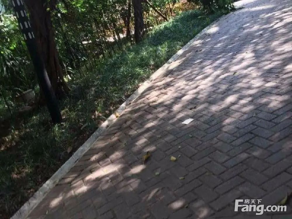 实景图