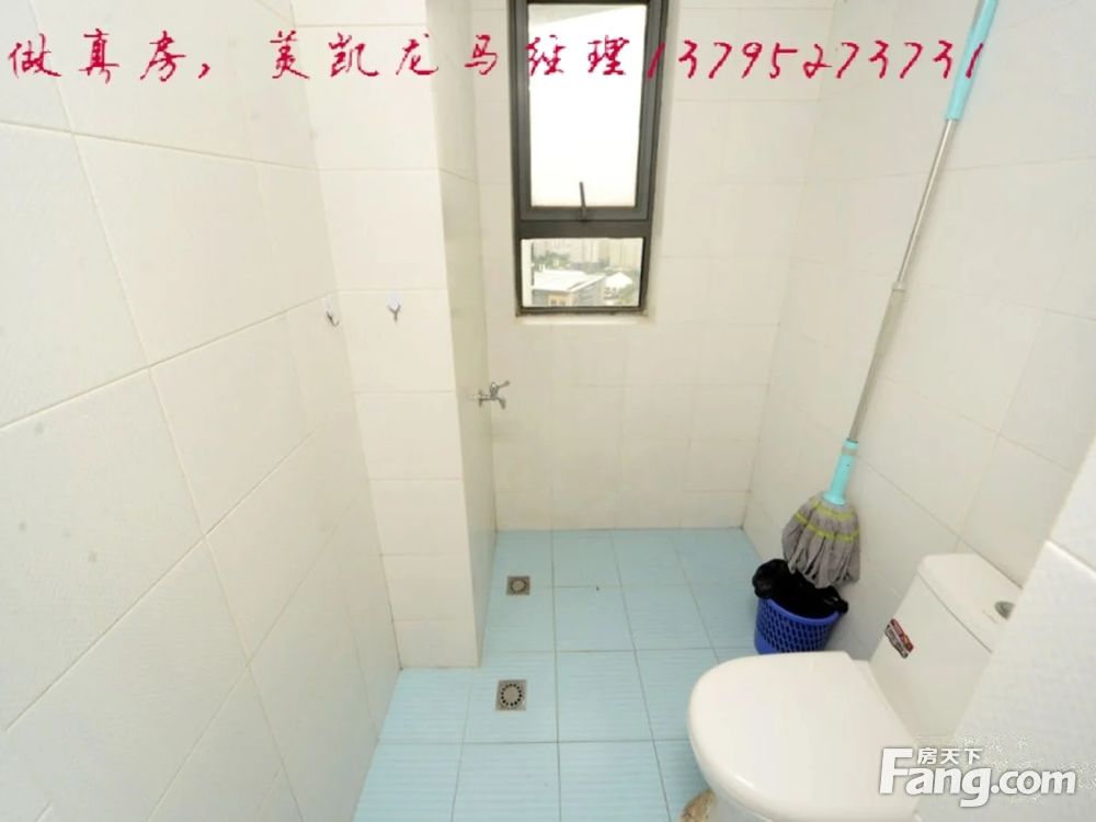 室内图