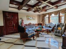 绿地新南路壹号别墅 283平4居 南向精装修 自住保养好