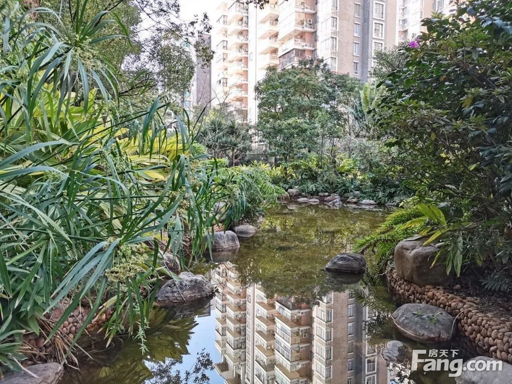 实景图