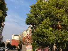 梅江南苑3室2厅2卫南朝向260.0万元/套出售