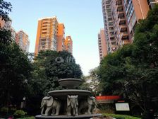 中楼层采光充足,视野宽阔,小区环境好,绿化高。