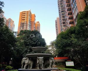 中楼层采光充足,视野宽阔,小区环境好,绿化高。