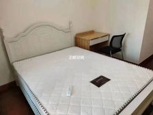 横琴口岸全新小区荔枝湾30平一房月租金3500元