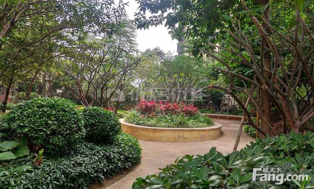 绿地香树花城 一期靓户型 3房 自住,佛山南海里水绿地香树花城二手房