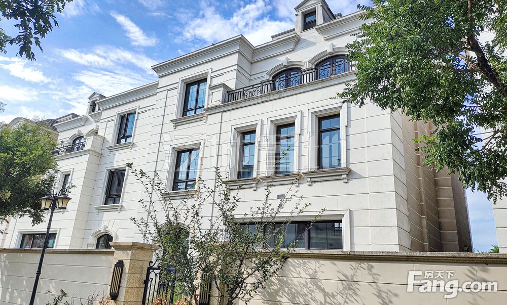 金科天玺法式独栋8米挑空厅 院900 4间卧室 1500可卖