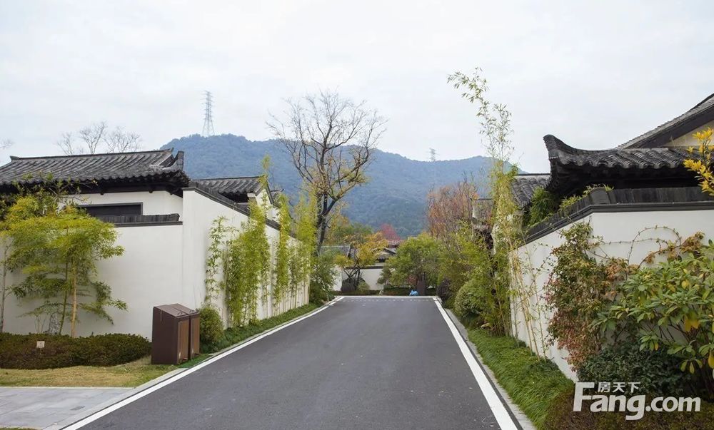 临安桃李春风买桃源生活有山有水送150方的花园