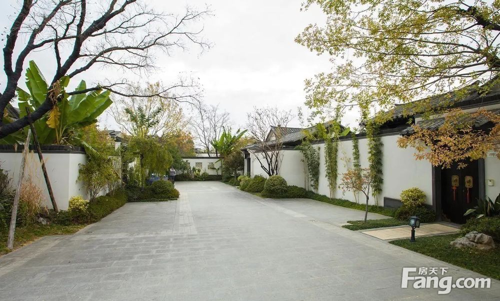 临安桃李春风买桃源生活有山有水送150方的花园