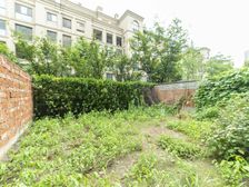 新出特价玉兰广场三期 洋房底层复试纯毛坯 大院子 急卖