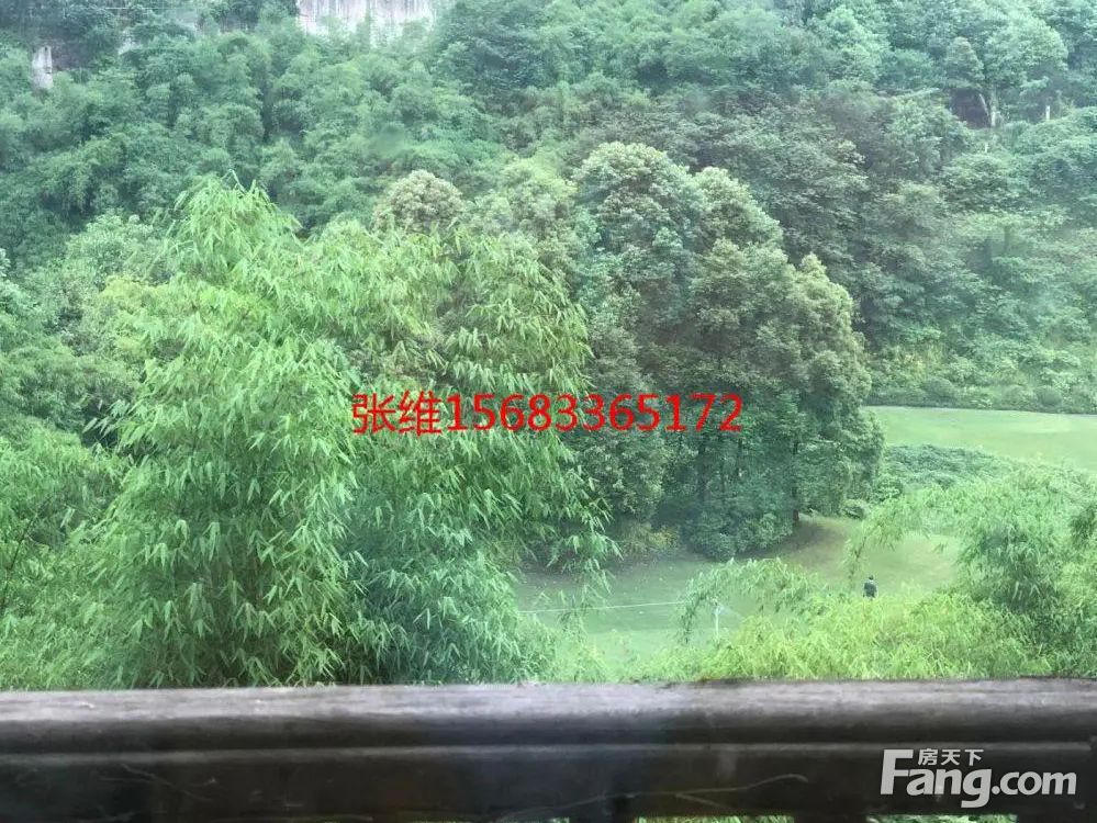 实景图