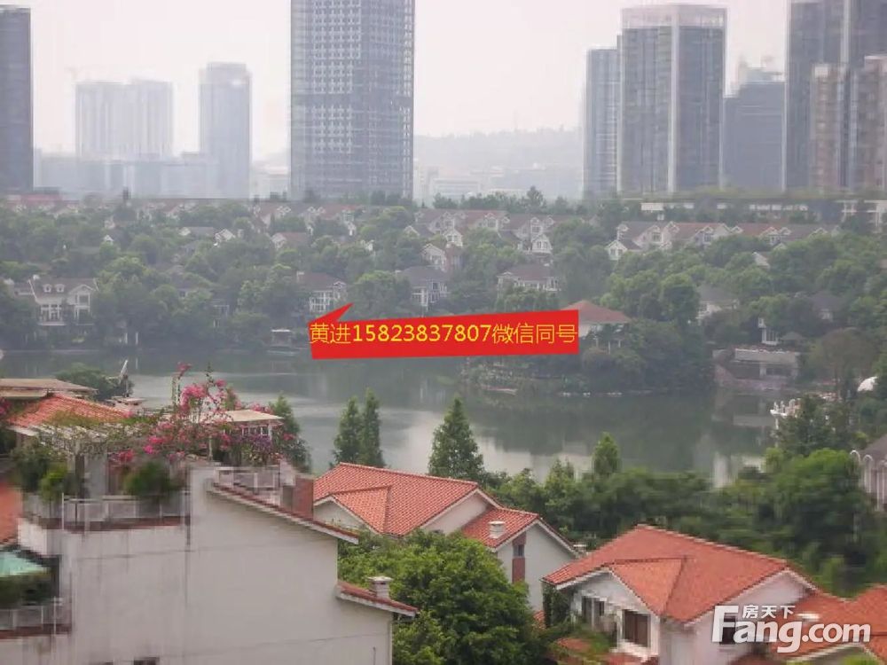 实景图