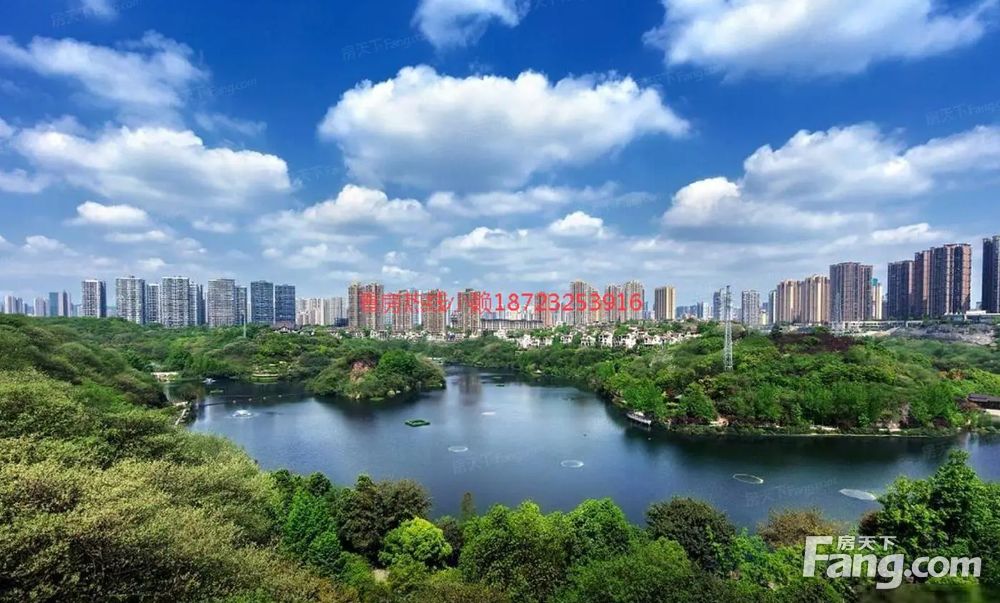 140万起 买陈家坪环线旁 精致小高层 近石平桥,重庆九龙坡陈家坪金辉