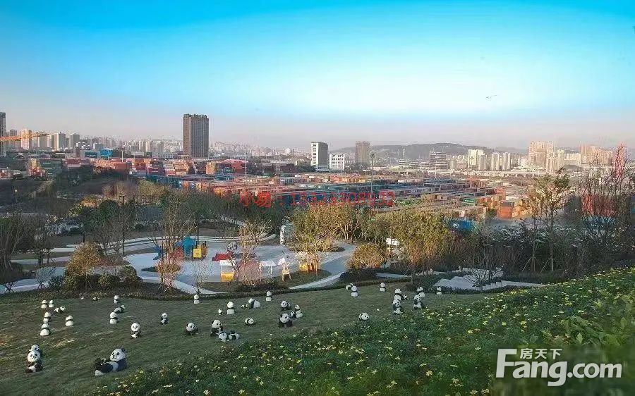 实景图