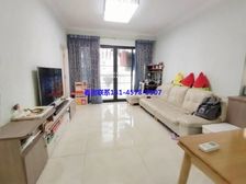 来.电看房!南沙星巴克旁 有红本精装房 好户型出租快 急售