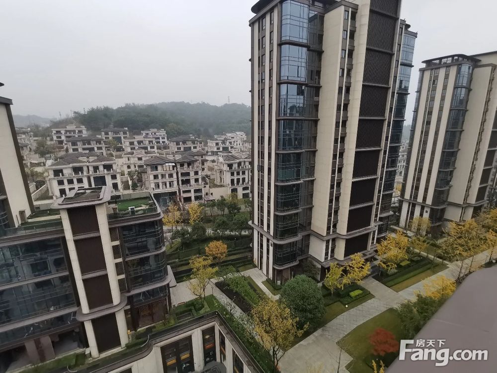 实景图