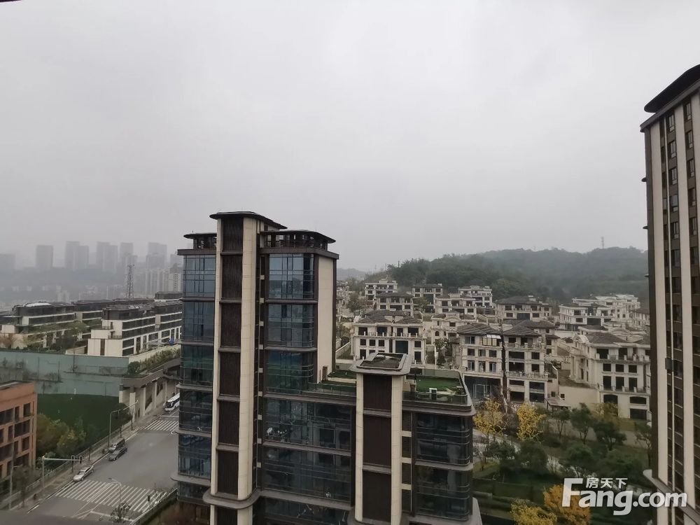 实景图
