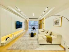 11号线三林站 低于市场价急售 满五无税 精装全送金谊广场