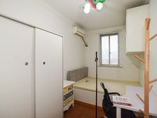 曹杨一村2室1厅1卫1阳台南北5/6层