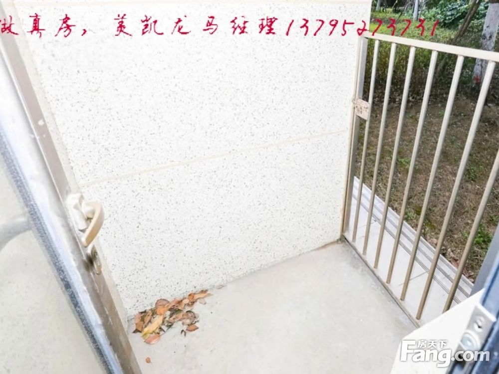 室内图