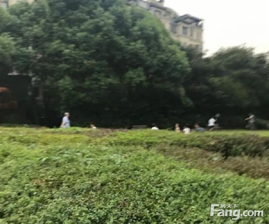 小区相关图
