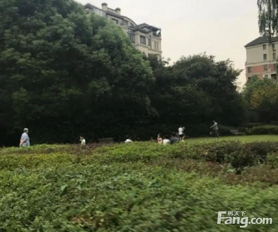 小区相关图