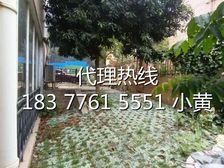 真实房源,联排边户独门独院,新天地别墅 占天占地