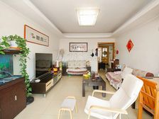 南北通透 望都家园 3室2厅 精装修