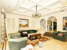 金科帕提欧别墅 电梯入户 带家具家电 实际面积500平米